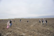 На раскопках средневекового города Агсу и Башни Мехраван организован лагерь по изучению культурного наследия (фото)