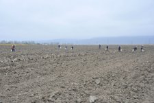 На раскопках средневекового города Агсу и Башни Мехраван организован лагерь по изучению культурного наследия (фото)