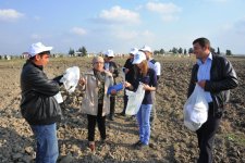 На раскопках средневекового города Агсу и Башни Мехраван организован лагерь по изучению культурного наследия (фото)