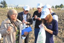 На раскопках средневекового города Агсу и Башни Мехраван организован лагерь по изучению культурного наследия (фото)