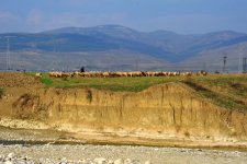 На раскопках средневекового города Агсу и Башни Мехраван организован лагерь по изучению культурного наследия (фото)