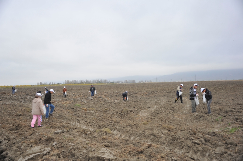 На раскопках средневекового города Агсу и Башни Мехраван организован лагерь по изучению культурного наследия (фото)