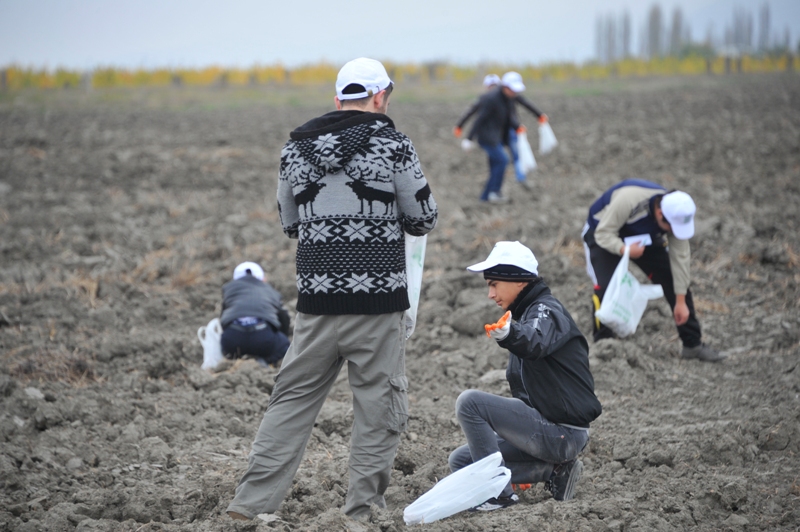 На раскопках средневекового города Агсу и Башни Мехраван организован лагерь по изучению культурного наследия (фото)