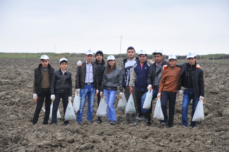 На раскопках средневекового города Агсу и Башни Мехраван организован лагерь по изучению культурного наследия (фото)