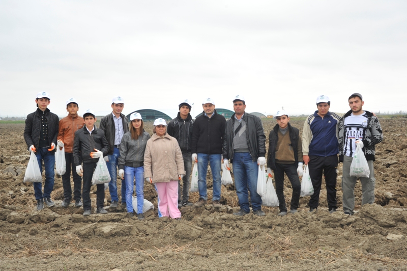 На раскопках средневекового города Агсу и Башни Мехраван организован лагерь по изучению культурного наследия (фото)