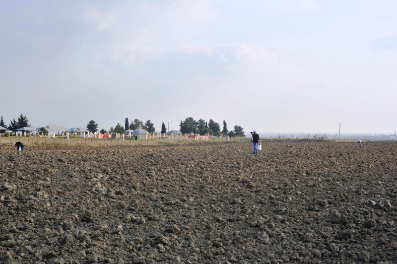 На раскопках средневекового города Агсу и Башни Мехраван организован лагерь по изучению культурного наследия (фото)