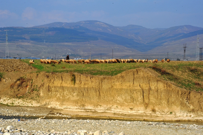 На раскопках средневекового города Агсу и Башни Мехраван организован лагерь по изучению культурного наследия (фото)