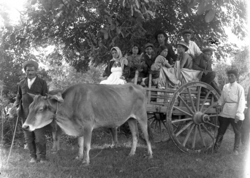 В рамках II Бакинского международного фестиваля кукольных театров представлена фотовыставка