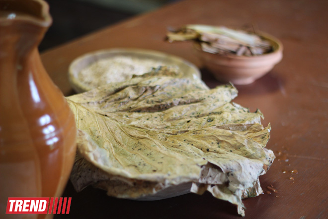 Путешествие в Литву: город барокко, живой камень, природа, кулинария (фото, часть 1)