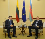 Президент Азербайджана встретился с премьером Литвы (ФОТО)