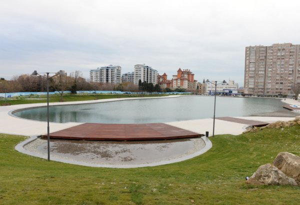 Университет АDA и компания Coca-Cola провели праздничную посадку деревьев в Баку