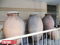 Поездка в Крым - мир в миниатюре (фото)