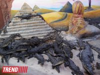 Поездка в Крым - мир в миниатюре (фото)