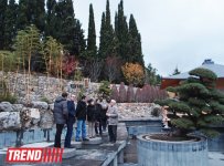 Поездка в Крым - мир в миниатюре (фото)