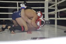 В Баку прошел Кубок мира по боям ММА (ФОТО)