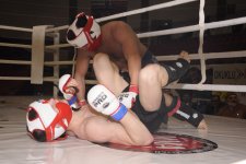 В Баку прошел Кубок мира по боям ММА (ФОТО)