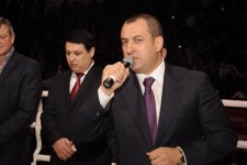 В Баку прошел Кубок мира по боям ММА (ФОТО)