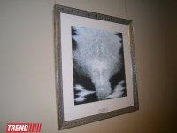 В Баку открылась выставка Арифа Гусейнова "Азербайджанская сказка" (ФОТО)