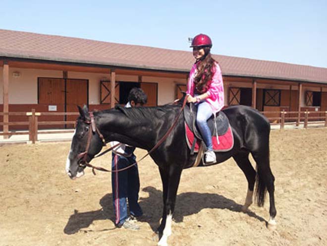 Азербайджанские знаменитости, которые любят лошадей (ФОТО)