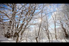 На участников реалити-шоу "Sinaq" в горах напали волки (ФОТО)