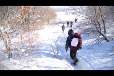 На участников реалити-шоу "Sinaq" в горах напали волки (ФОТО)