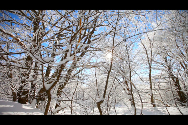 На участников реалити-шоу "Sinaq" в горах напали волки (ФОТО)