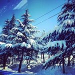 Грузинские "Бриллианты" Нуры Сури: "В мини-фильме использовала настоящее оружие" (ФОТО)