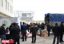 В Баку стартовала массовая акция в рамках проекта "Заменим каждый лист бумаги на листья" (ФОТО)