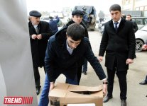 В Баку стартовала массовая акция в рамках проекта "Заменим каждый лист бумаги на листья" (ФОТО)