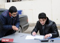 В Баку стартовала массовая акция в рамках проекта "Заменим каждый лист бумаги на листья" (ФОТО)