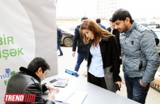 В Баку стартовала массовая акция в рамках проекта "Заменим каждый лист бумаги на листья" (ФОТО)