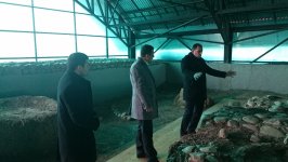 В Азербайджане начинается реализация этнографического проекта "Улгюдж"(ФОТО)