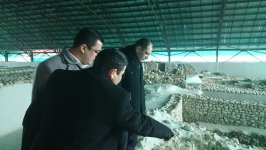 В Азербайджане начинается реализация этнографического проекта "Улгюдж"(ФОТО)