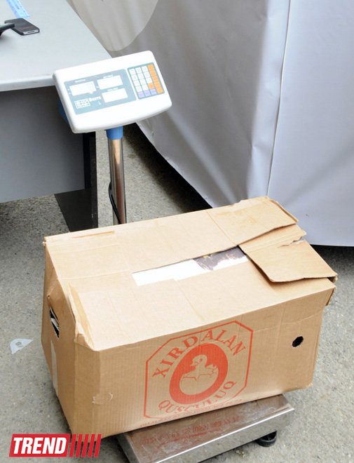 В Баку стартовала массовая акция в рамках проекта "Заменим каждый лист бумаги на листья" (ФОТО)