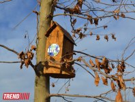 Древняя и современная Гянджа (фотосессия)