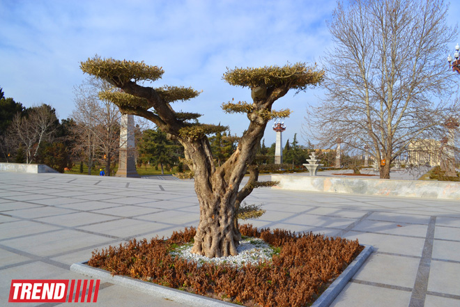 Древняя и современная Гянджа (фотосессия)