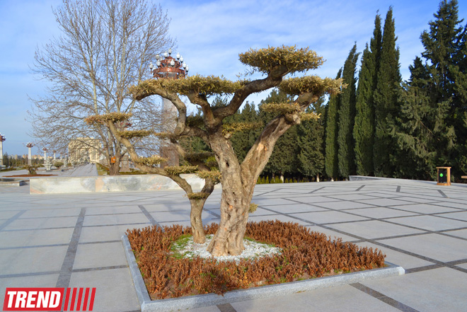 Древняя и современная Гянджа (фотосессия)