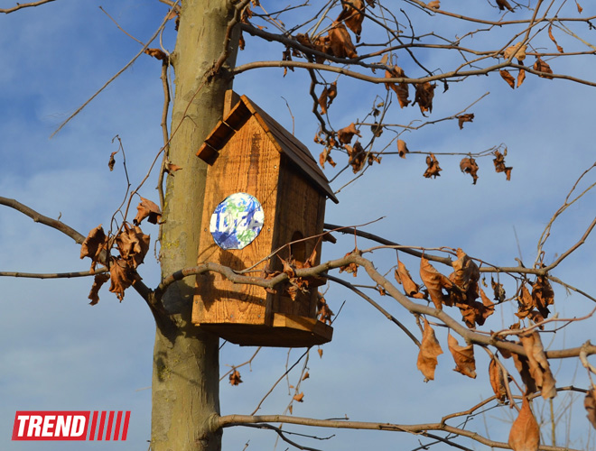 Древняя и современная Гянджа (фотосессия)