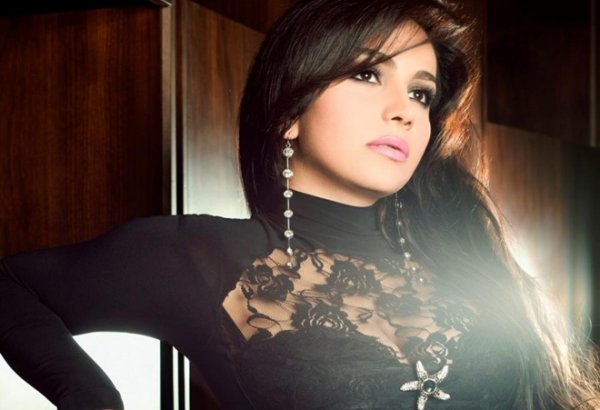 Определился лидер второй недели музыкальной премии "Zirvədəkilər" (ВИДЕО)