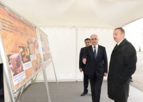 Президент Азербайджана принял участие в открытии новых предприятий в Сумгайыте (ФОТО)