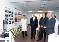 Президент Азербайджана принял участие в открытии новых предприятий в Сумгайыте (ФОТО)