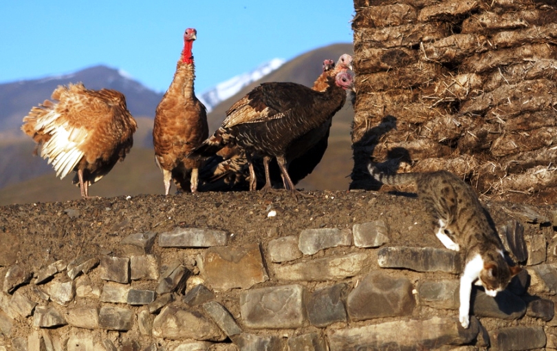 Хыналыг глазами российского путешественника и фотографа Антона Афанасьева (ФОТО)