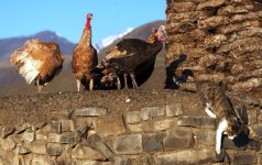 Хыналыг глазами российского путешественника и фотографа Антона Афанасьева (ФОТО)