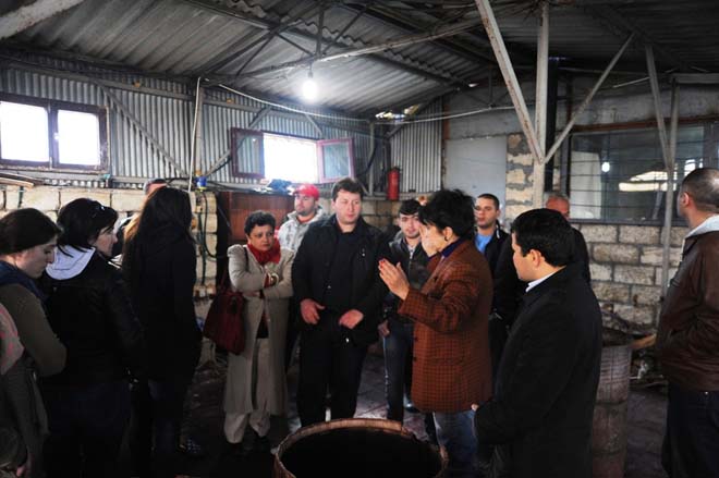 Грузинские туристы посетили Азербайджан - тур культурного наследия (ФОТО)