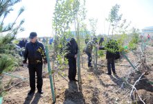 Завершен проект "Заменим каждый лист бумаги на листья" (ФОТО)