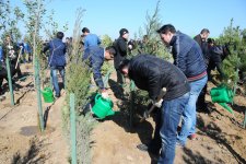 Завершен проект "Заменим каждый лист бумаги на листья" (ФОТО)