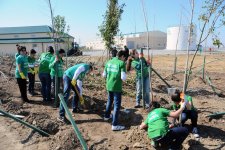 Завершен проект "Заменим каждый лист бумаги на листья" (ФОТО)