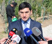 Завершен проект "Заменим каждый лист бумаги на листья" (ФОТО)