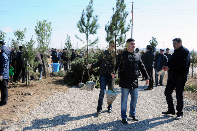 Завершен проект "Заменим каждый лист бумаги на листья" (ФОТО)