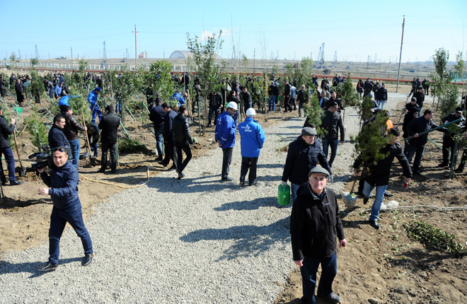 Завершен проект "Заменим каждый лист бумаги на листья" (ФОТО)